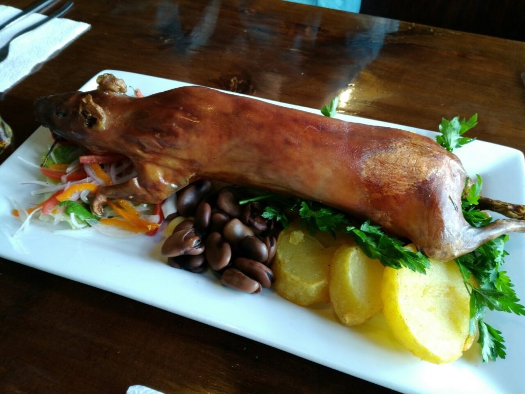 クイアルオルノ