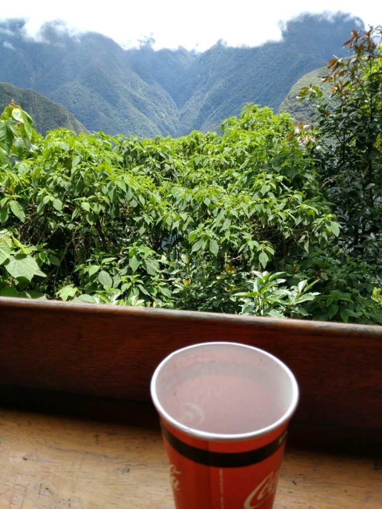 カフェからの眺め