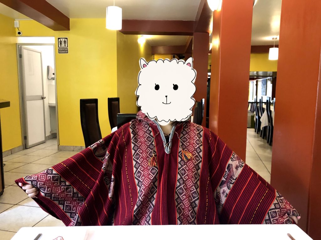 購入したポンチョ