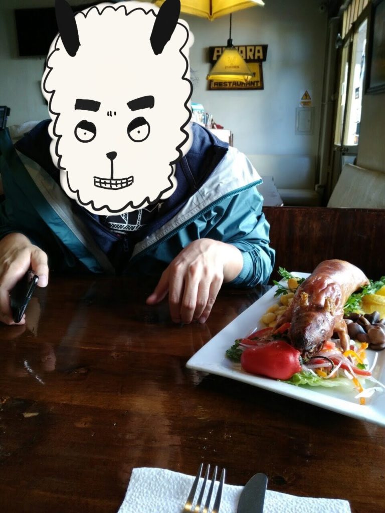 クイアルオルノとリャマ